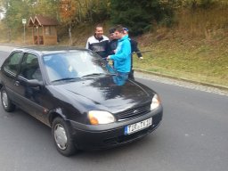 Kirwaboum 2012