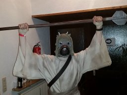 Rosenmontag 2016